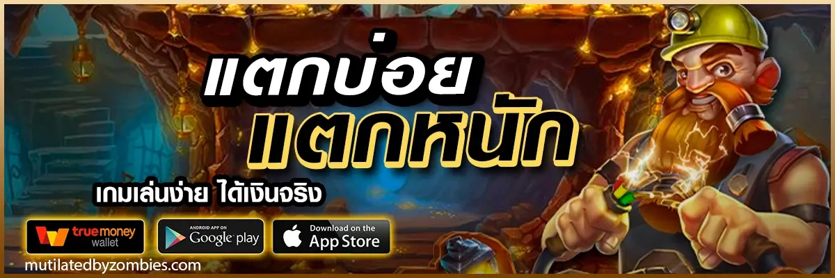 พักยก24